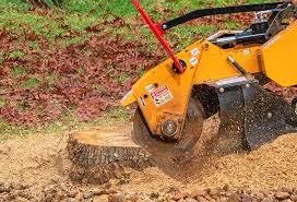 How Our Tree Care Process Works  in  Sellersburg, IN